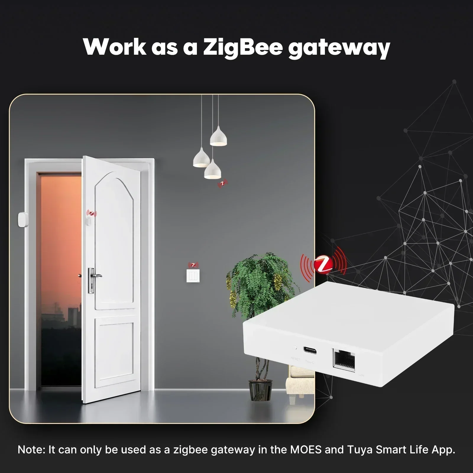MOES Tuya Zigbee Matter Thread - Matter Hub Thread 评论和价格